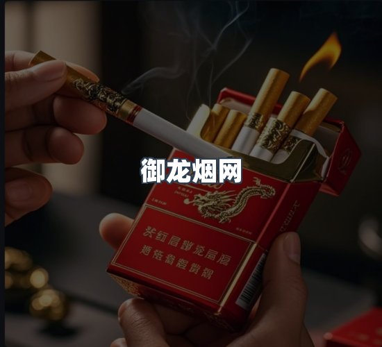 关于御龙烟网